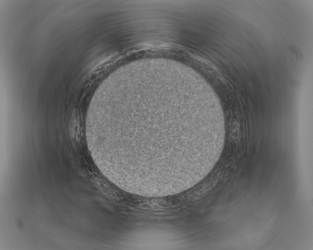 X0000110860966200907301349