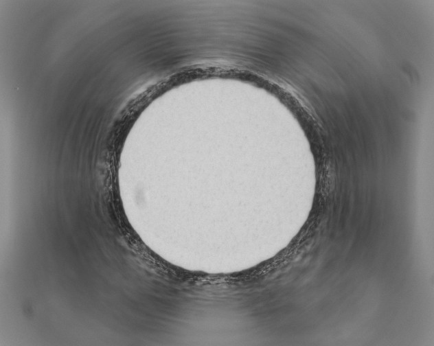 X0000110860967200907301349