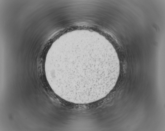 X0000110860968200907301349