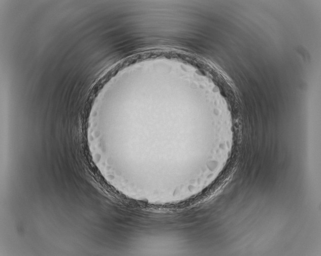 X0000110860969200907301348