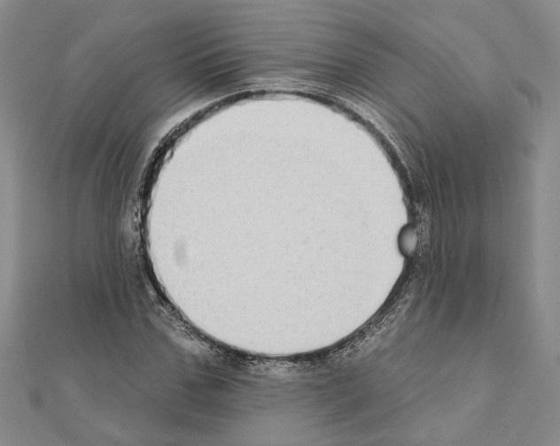 X0000110860971200907301348