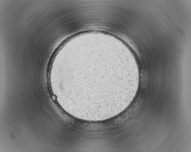 X0000110860972200907301348