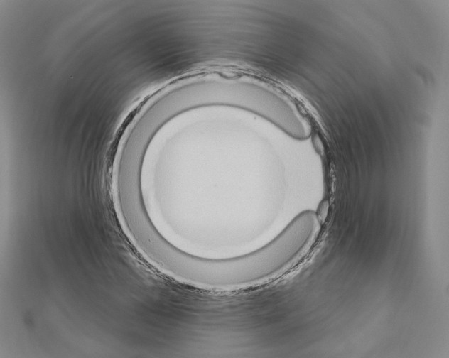 X0000110860973200907301348