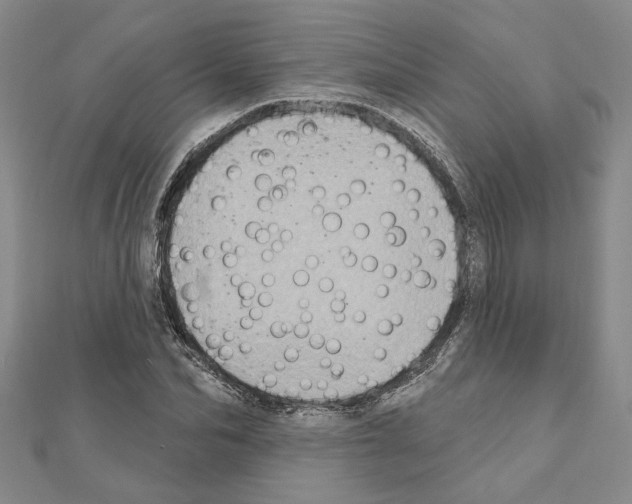 X0000110860974200907301348