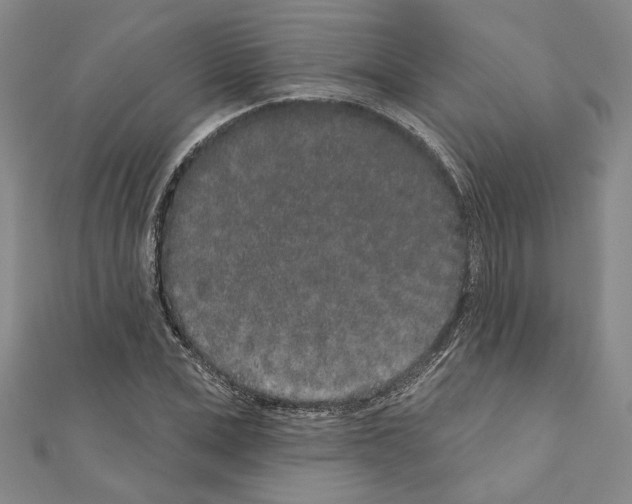 X0000110860975200907301348