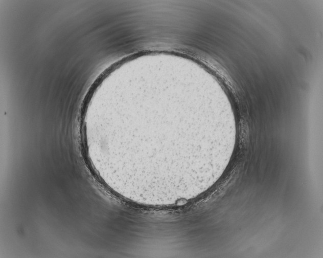 X0000110860976200907301348