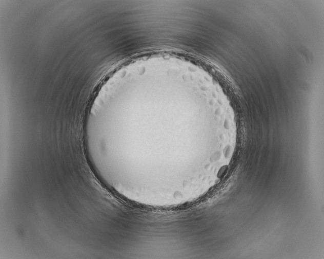 X0000110860977200907301348