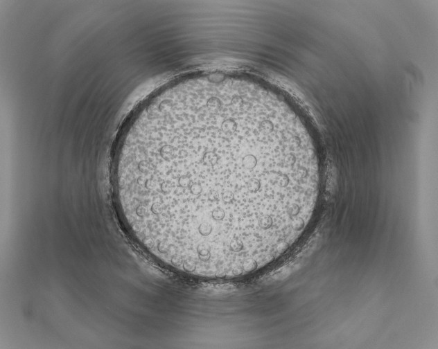 X0000110860978200907301348