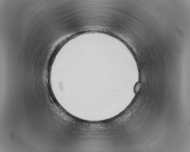 X0000110860979200907301348