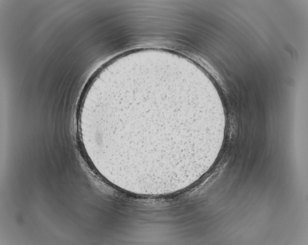 X0000110860980200907301348