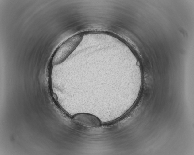 X0000110860981200907301348