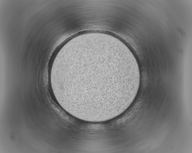 X0000110860982200907301348