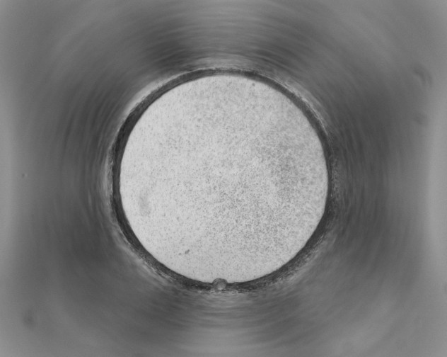 X0000110860983200907301348