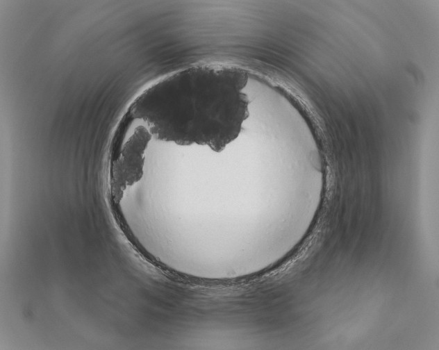 X0000110860984200907301348