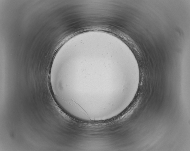 X0000110860985200907301348