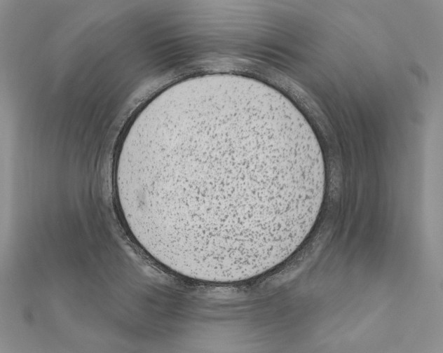 X0000110860986200907301348