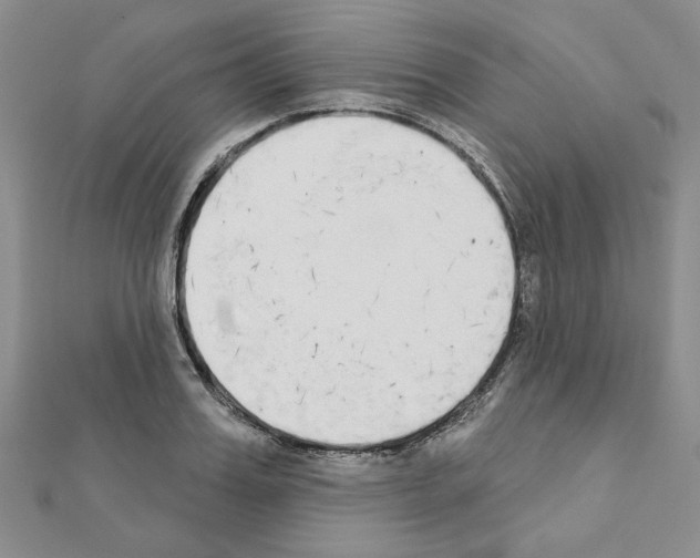 X0000110860987200907301348