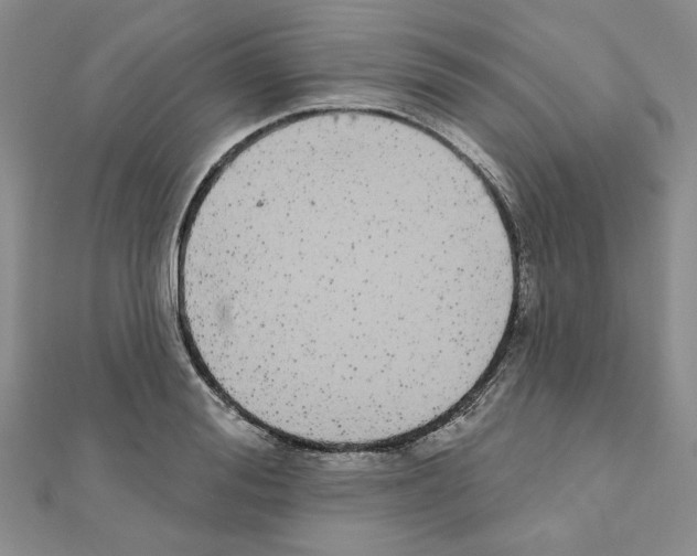 X0000110860988200907301348
