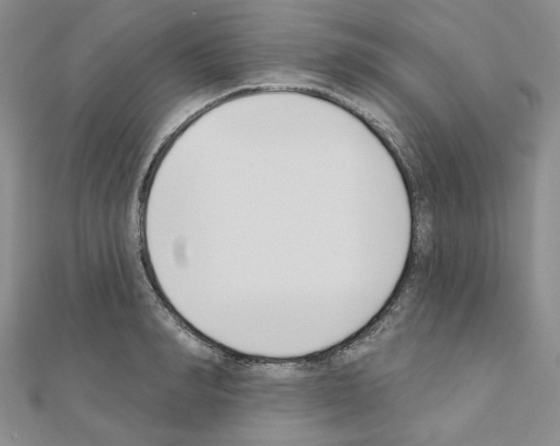 X0000110860990200907301348