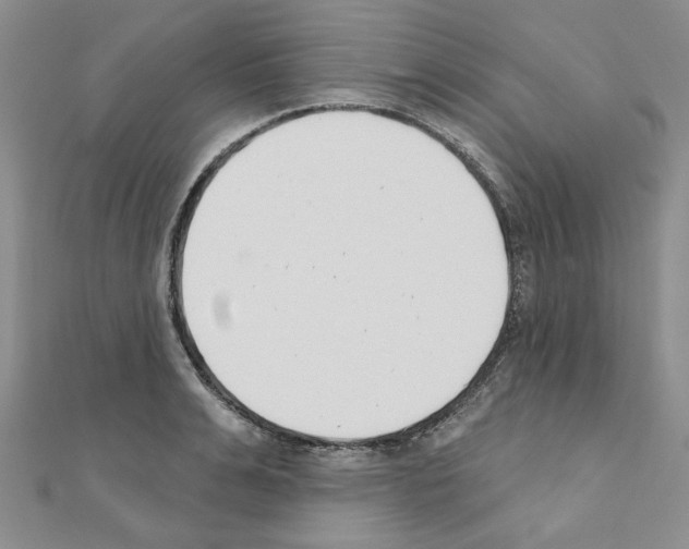 X0000110860991200907301348