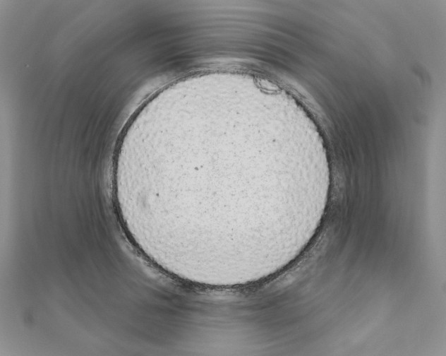 X0000110860994200907301348