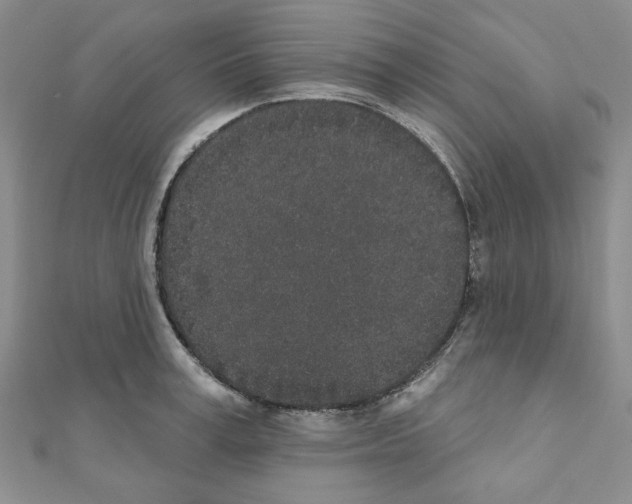 X0000110860995200907301348