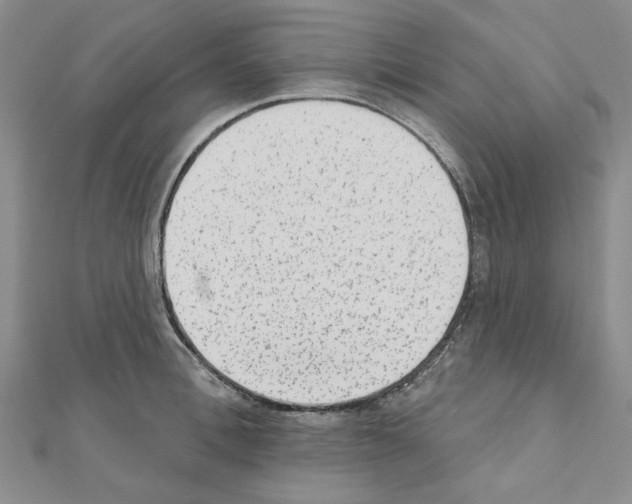 X0000110860996200907301348