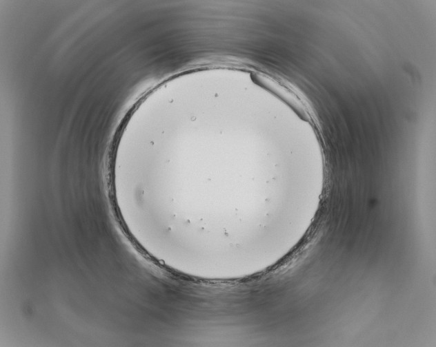 X0000110860997200907301348