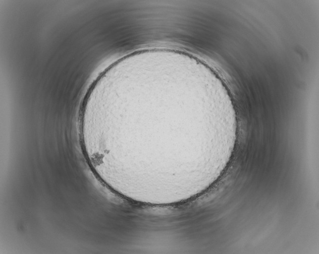 X0000110860998200907301348