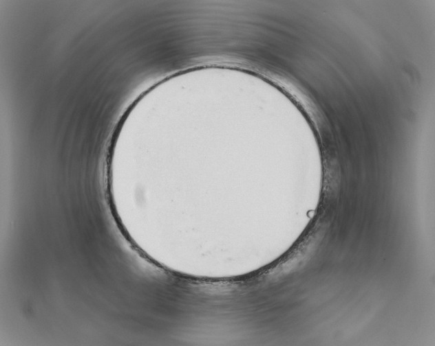 X0000110860999200907301348