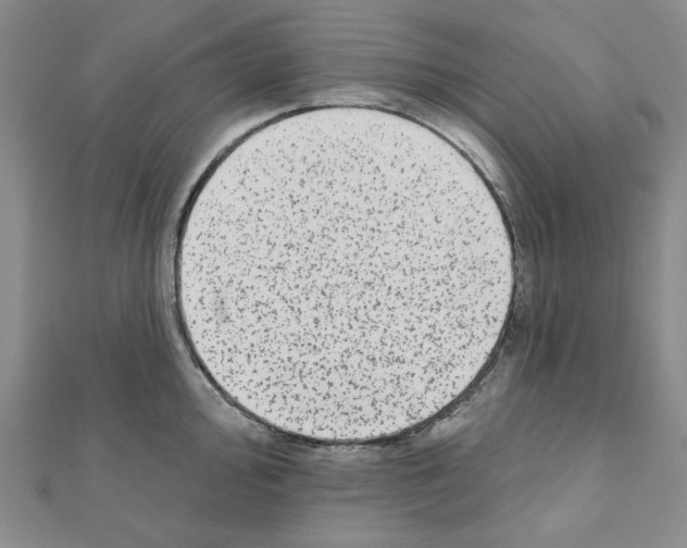 X0000110861000200907301348