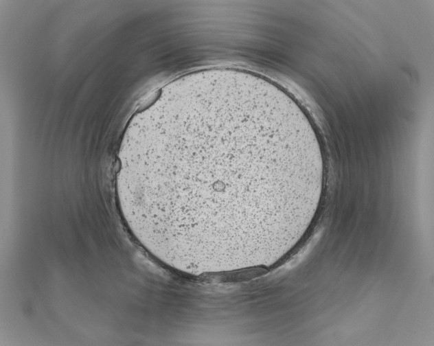 X0000110861001200907301348