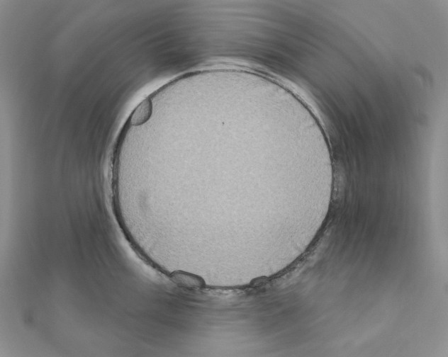X0000110861003200907301348