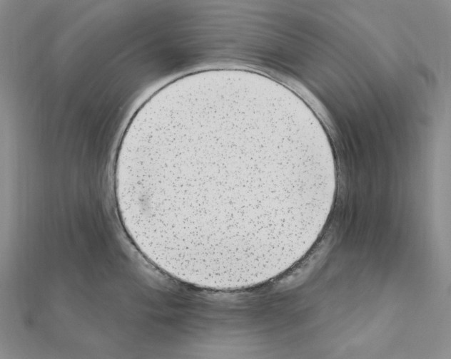 X0000110861004200907301348