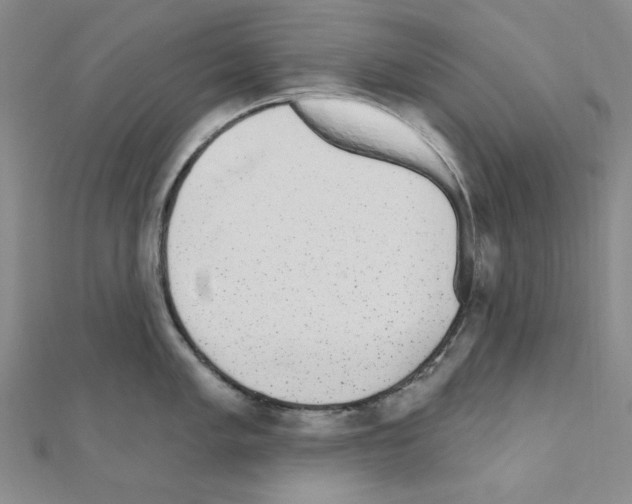 X0000110861005200907301348