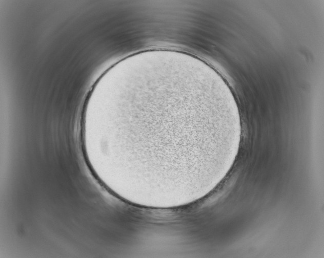 X0000110861007200907301348
