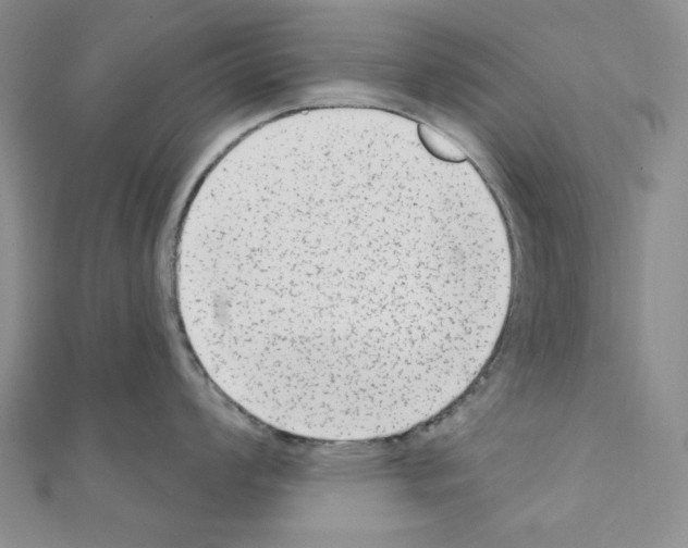 X0000110861008200907301348