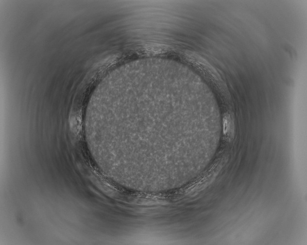 X0000110861011200907301347