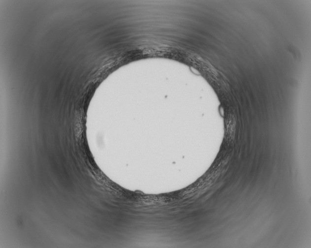X0000110861012200907301347