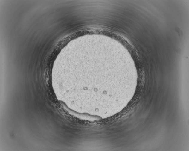 X0000110861016200907301347