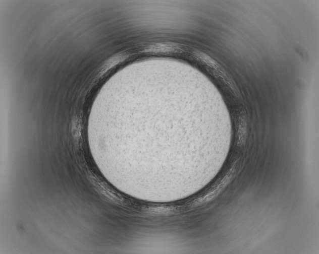 X0000110861017200907301347