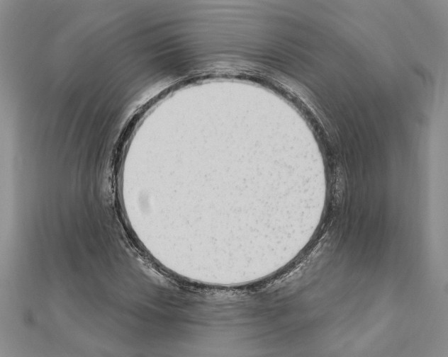 X0000110861018200907301347