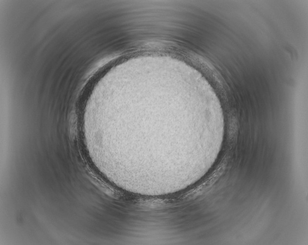 X0000110861019200907301348