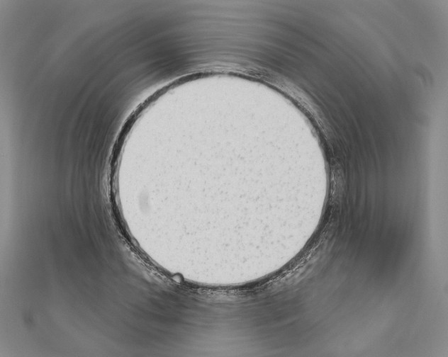X0000110861020200907301348
