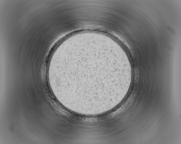 X0000110861021200907301348