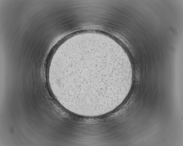 X0000110861022200907301348