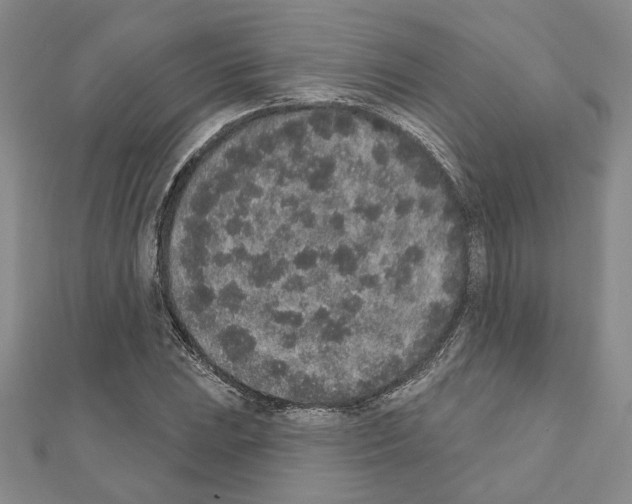 X0000110861023200907301348