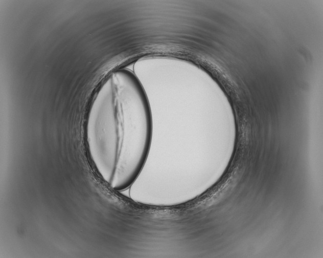 X0000110861025200907301348