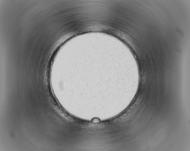X0000110861026200907301348
