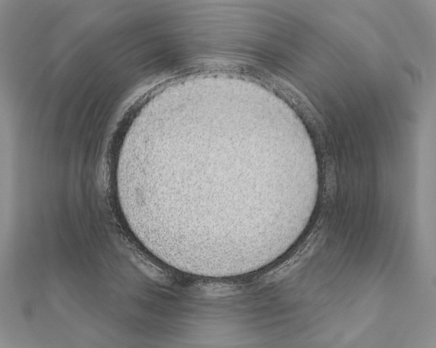 X0000110861027200907301348